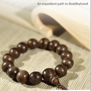 the-dharma-door-of-pure-land-buddhism